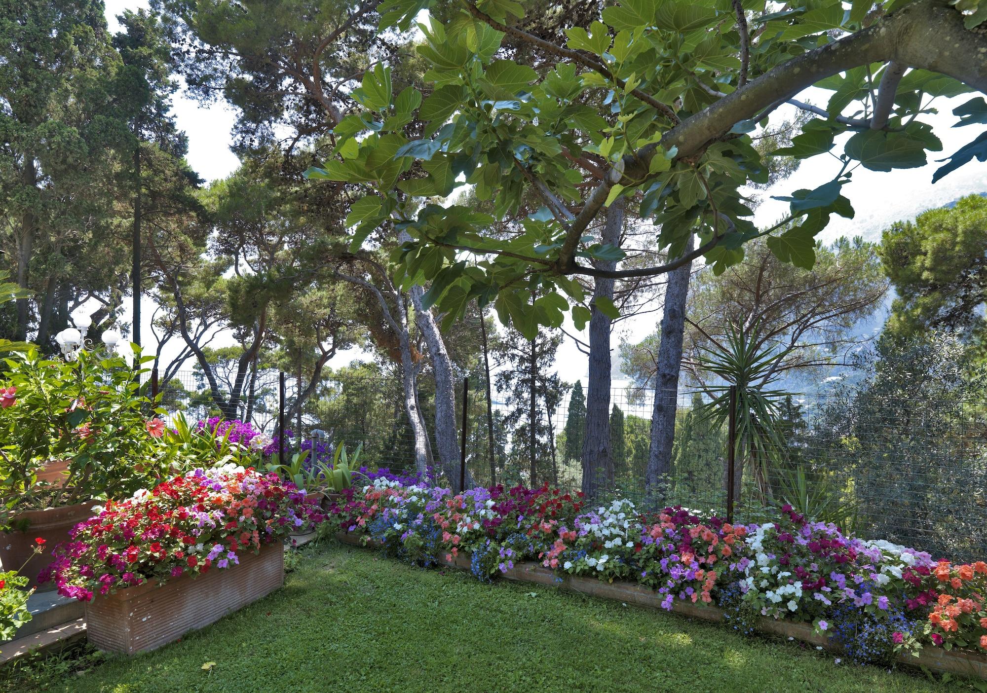 Hotel Villa Brunella Κάπρι Εξωτερικό φωτογραφία