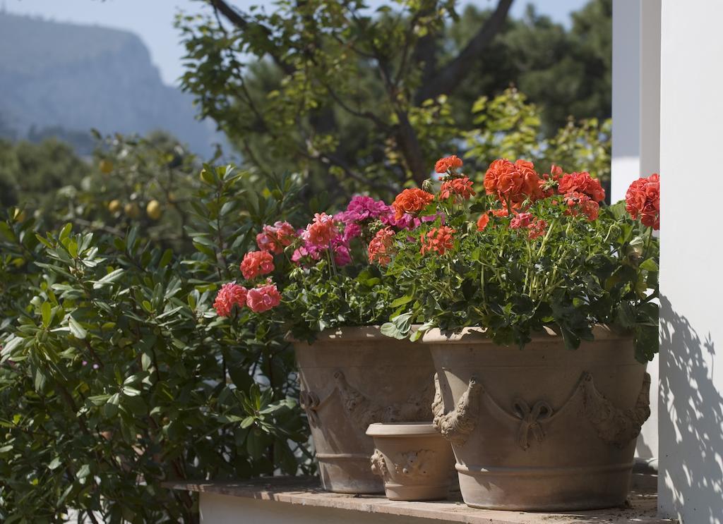 Hotel Villa Brunella Κάπρι Εξωτερικό φωτογραφία
